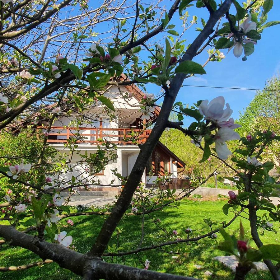 House Samardzic Hotel Jezerce Ngoại thất bức ảnh