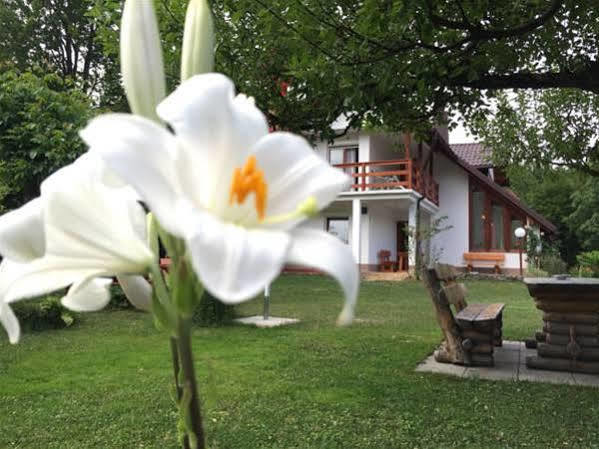 House Samardzic Hotel Jezerce Ngoại thất bức ảnh